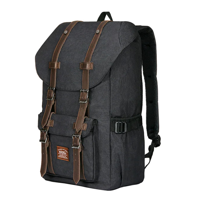 Stylish Large Capacity Backpack for Students and Travel